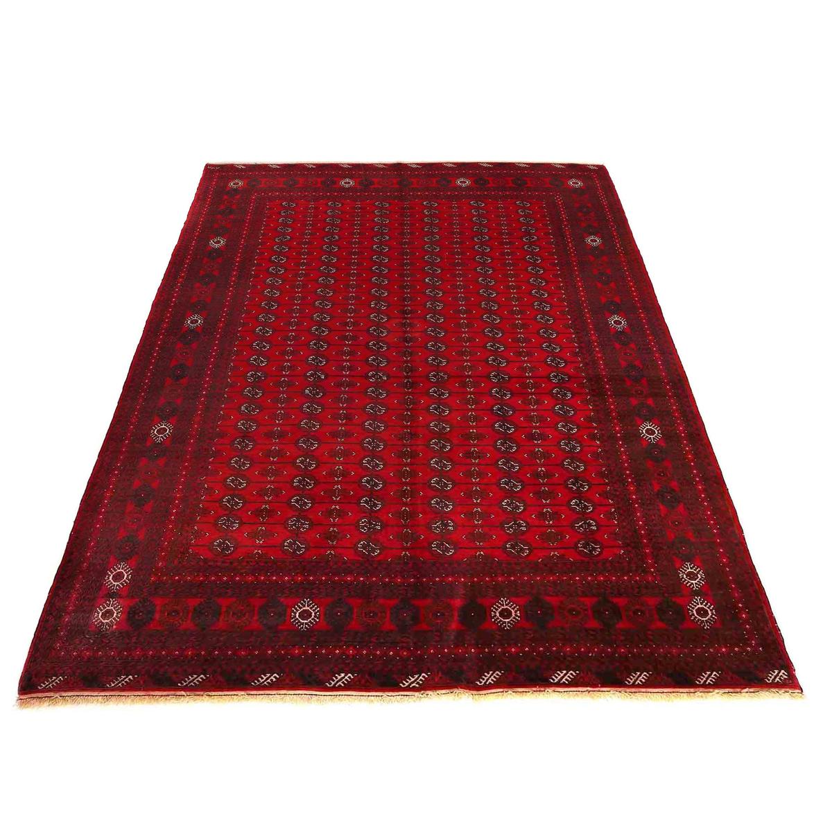Bokhara Wool Handmade Rug 195 x 288 cm (ID W13602)
